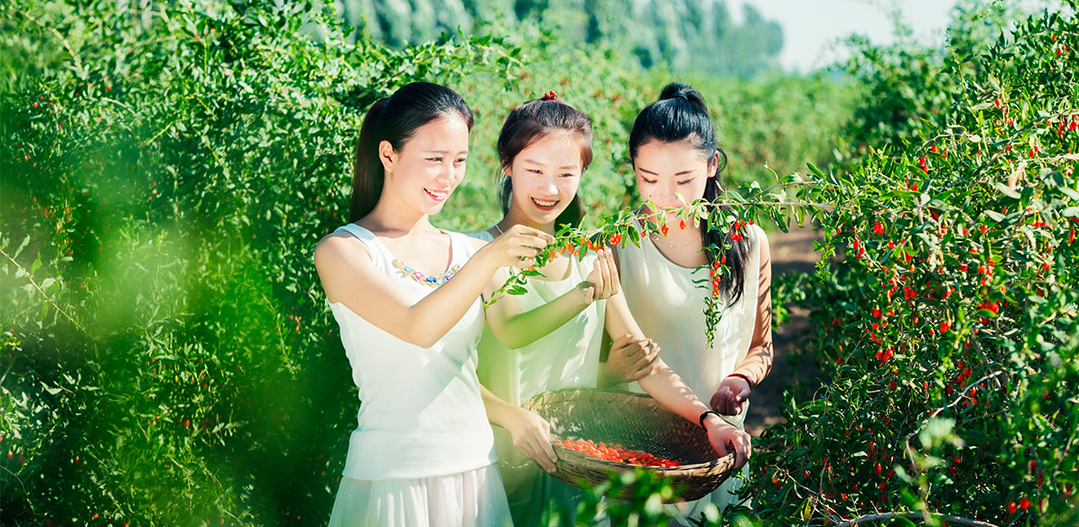 优游国际·UB8(中国游)集团官方网站