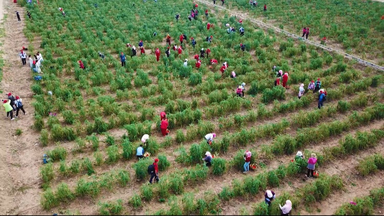 优游国际·UB8(中国游)集团官方网站