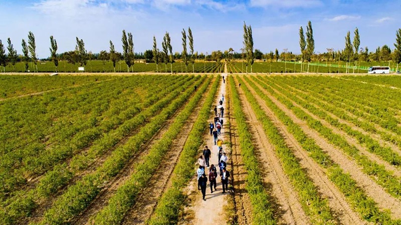 优游国际·UB8(中国游)集团官方网站