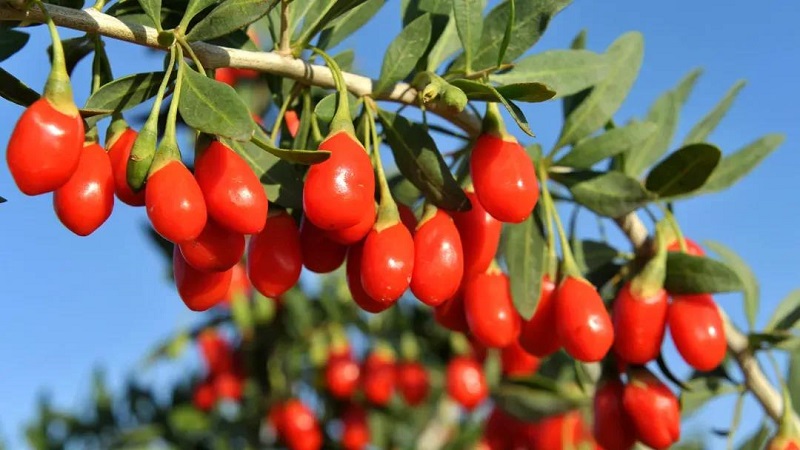 优游国际·UB8(中国游)集团官方网站