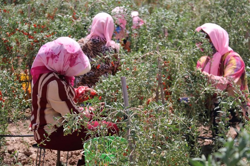 优游国际·UB8(中国游)集团官方网站