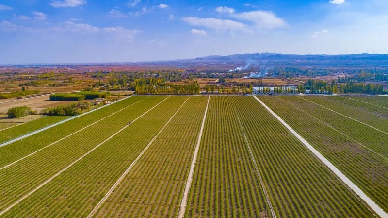 优游国际·UB8(中国游)集团官方网站